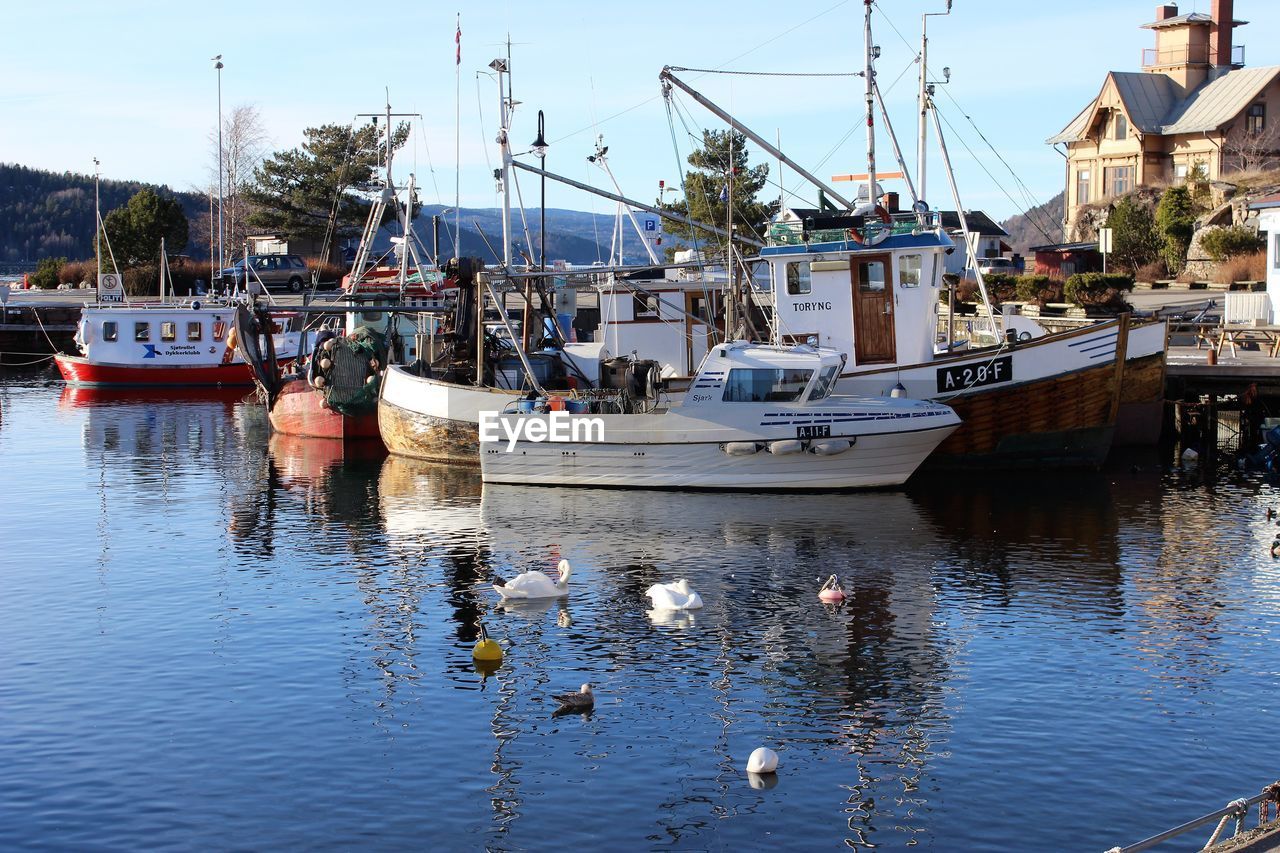 SAILBOATS MOORED IN WATER