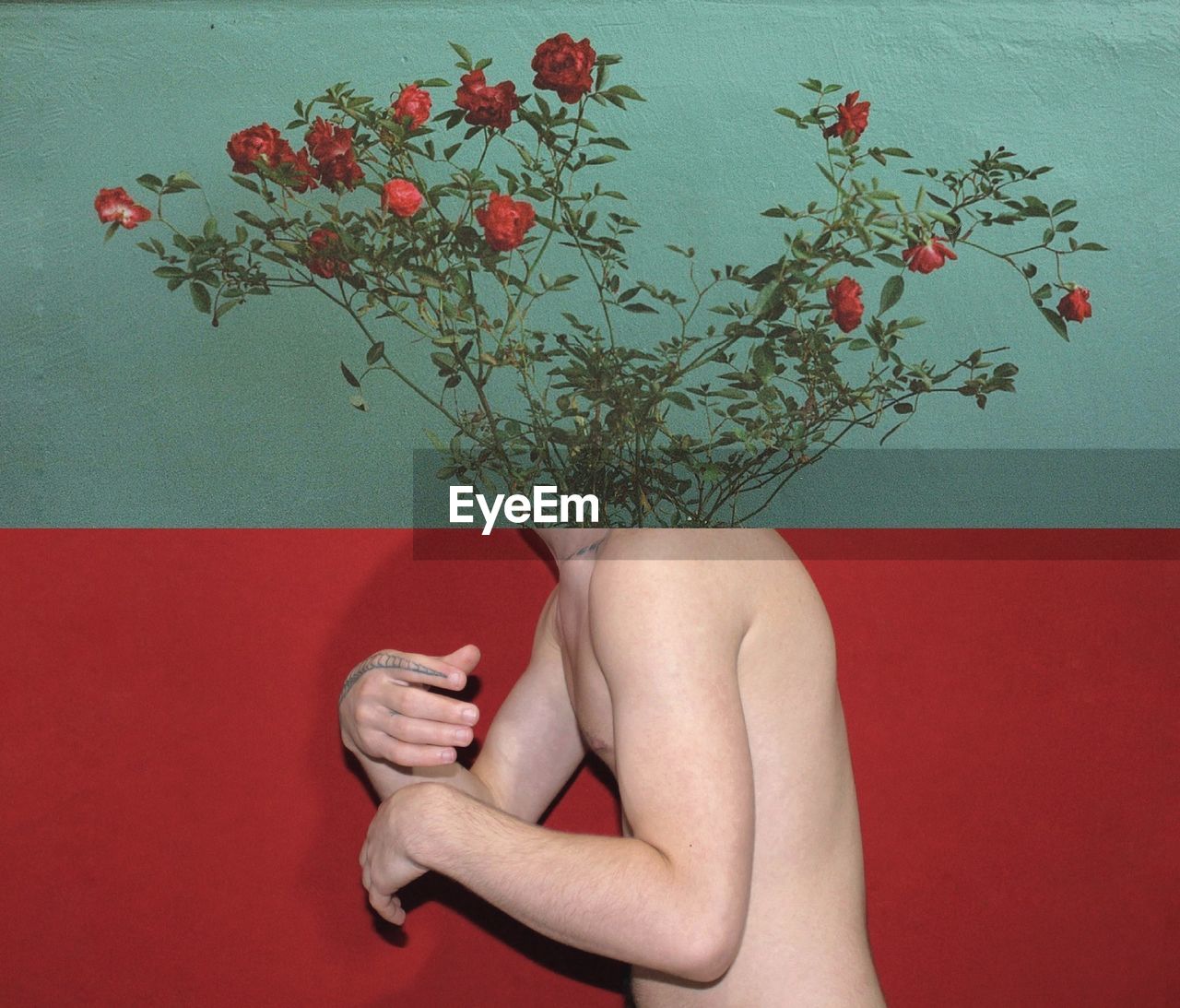 Image montage of shirtless man and flowering plants against wall