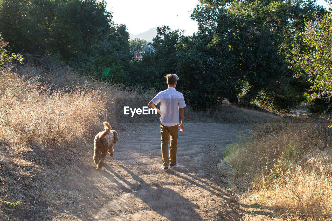 The back of a boy and his dog walking on a trail