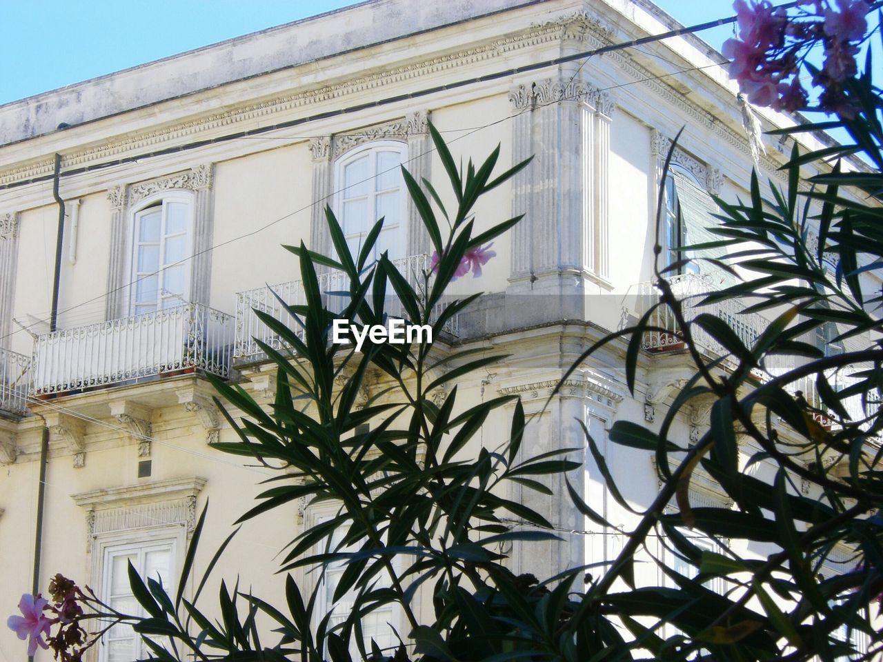 Building behind plant