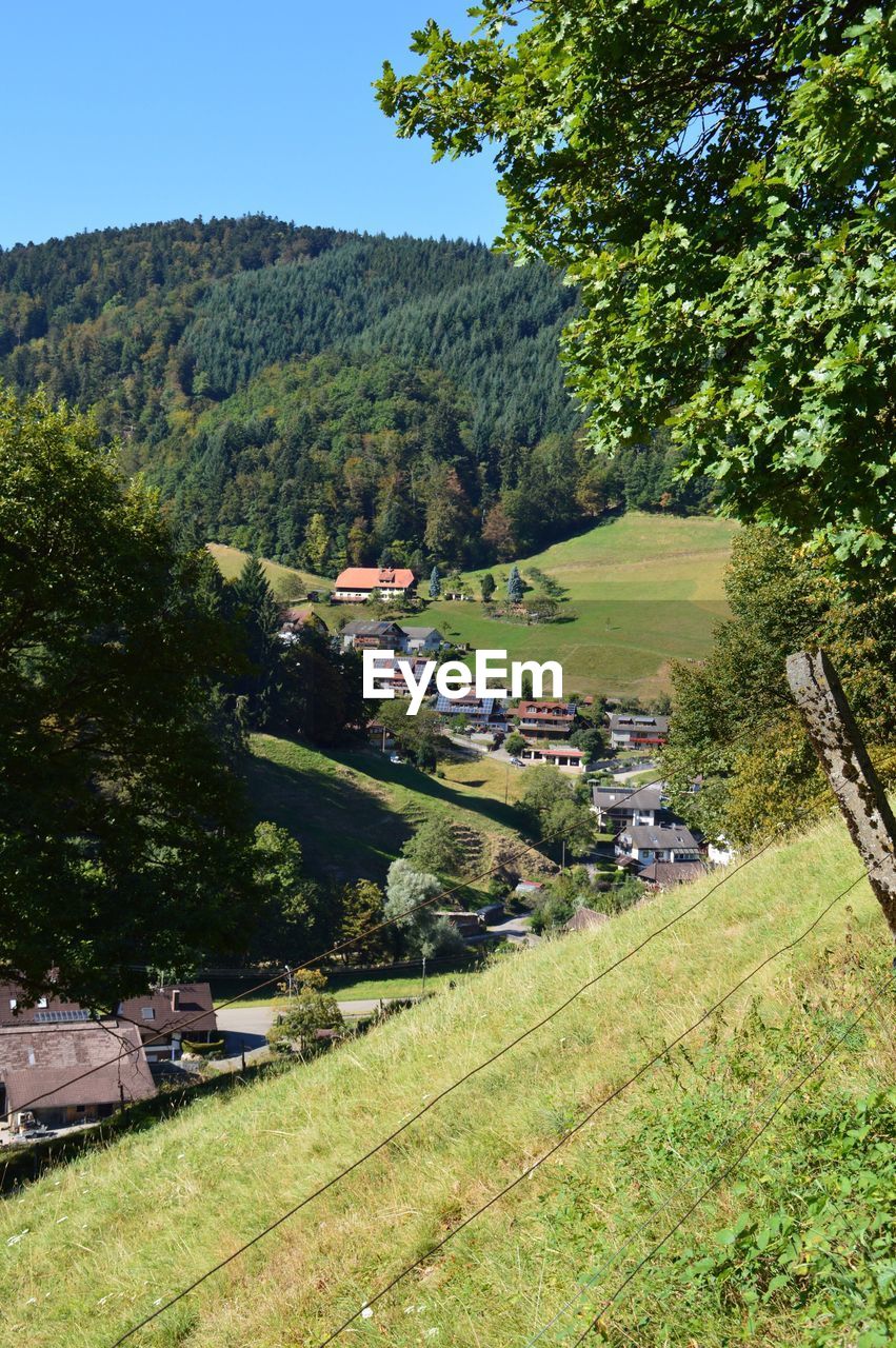 High angle view of trees and buildings on field