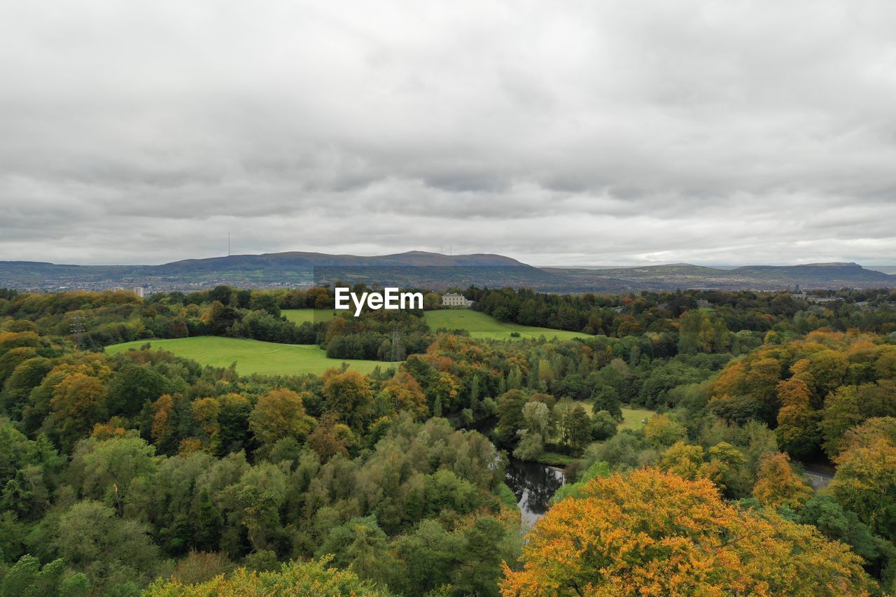 SCENIC VIEW OF TREES ON LANDSCAPE AGAINST SKY