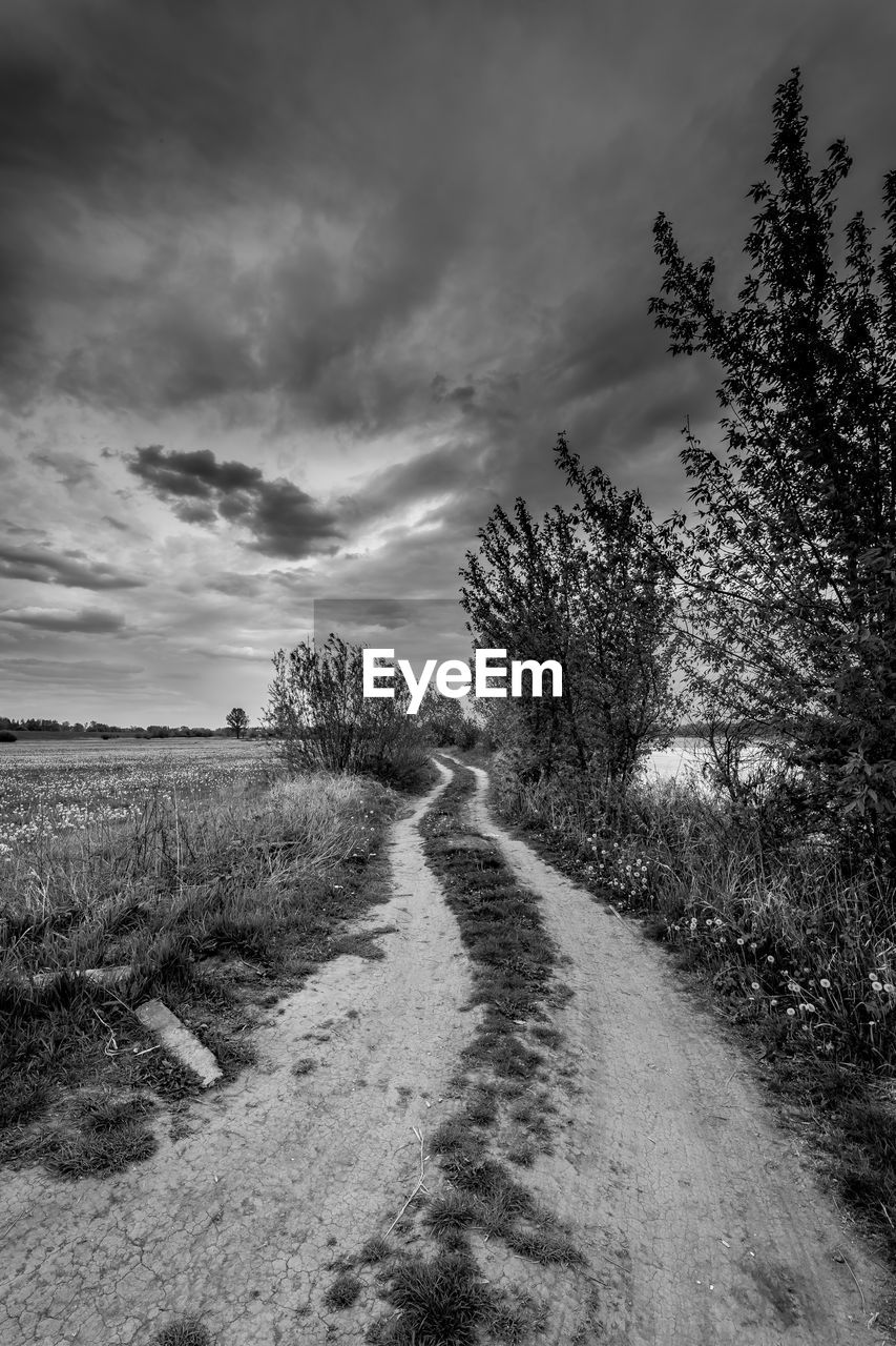 Empty road amidst trees on field against sky