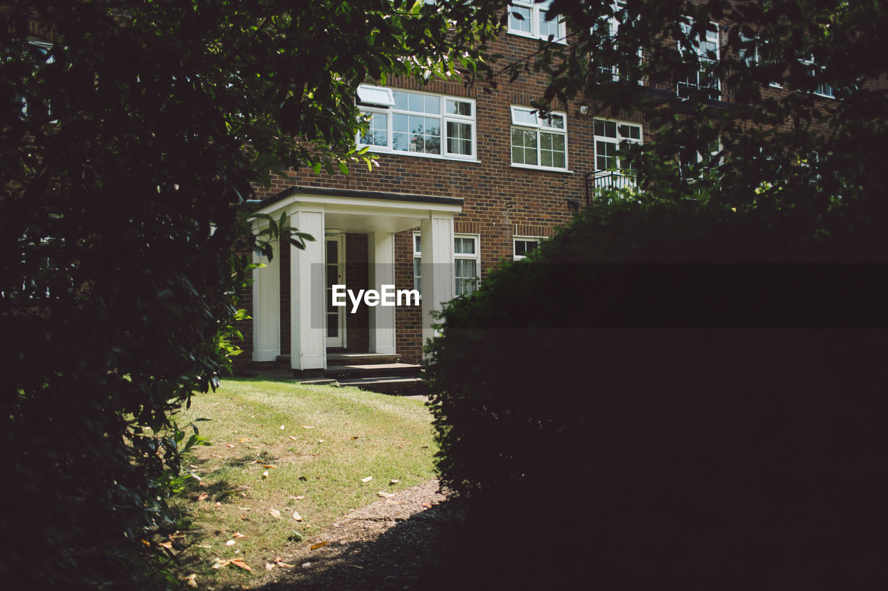 HOUSE AND TREES IN LAWN AGAINST BUILDING