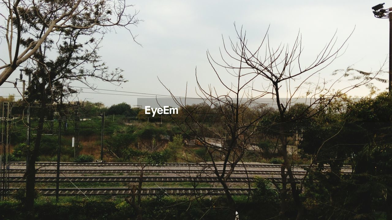 Trees by railroad tracks on field against clear sky