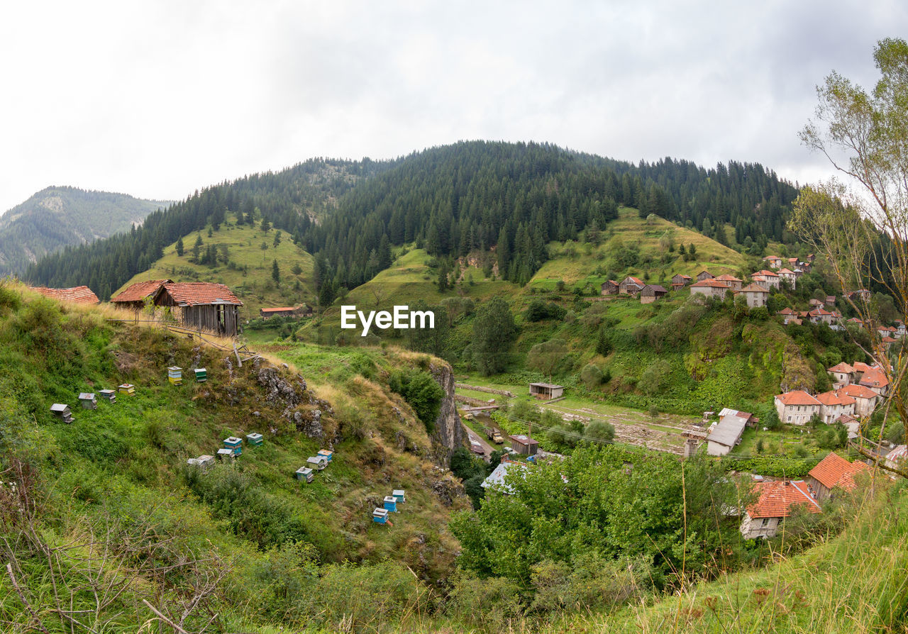 Houses, outbuildings and apiary in the mugla village in coniferous forest on the steep slopes