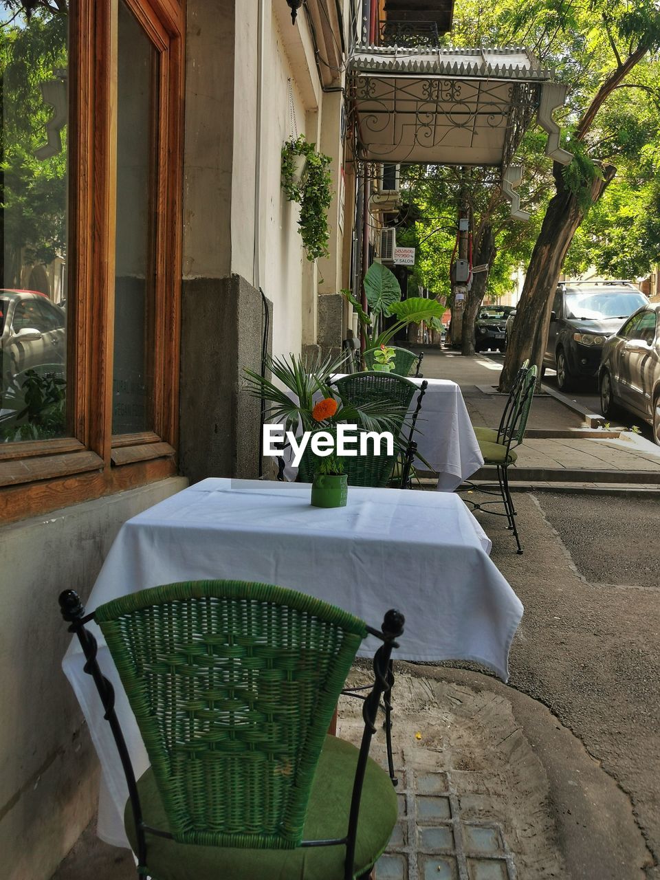 Potted plants on table in yard