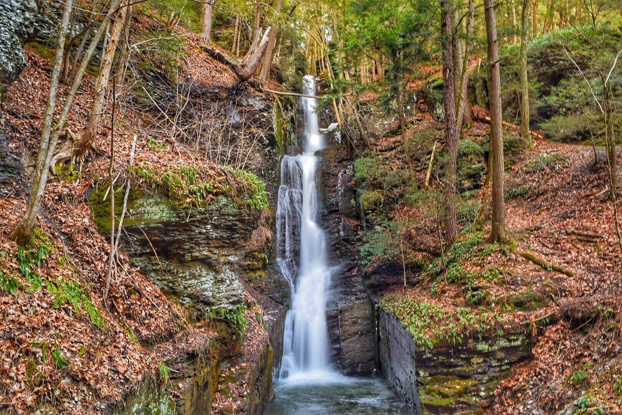 WATERFALL IN FOREST