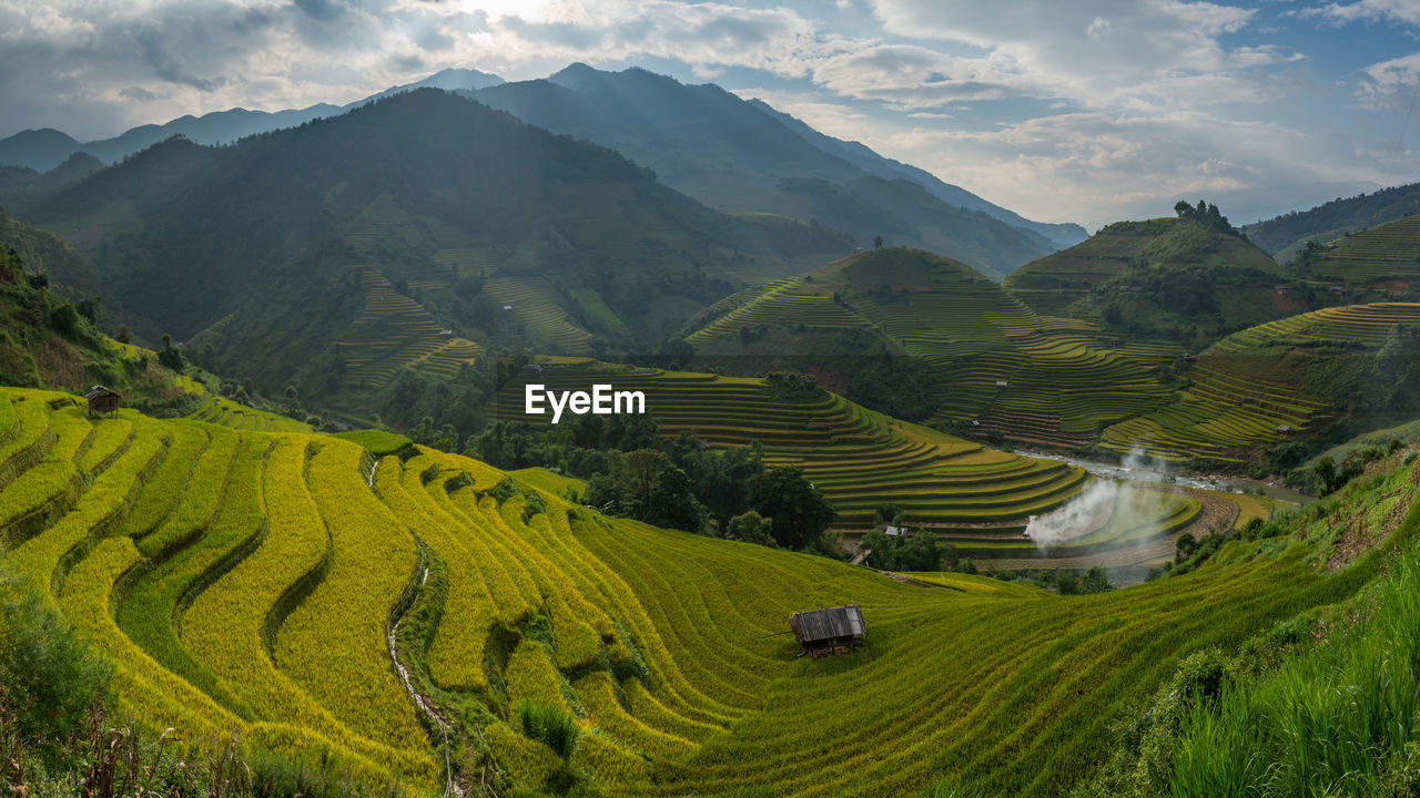 Scenic view of rice field against sky