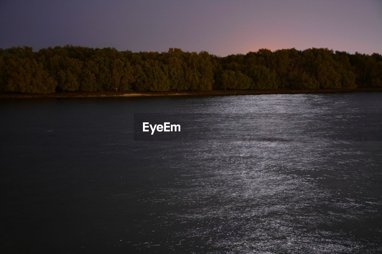 VIEW OF CALM LAKE IN FRONT OF TREES