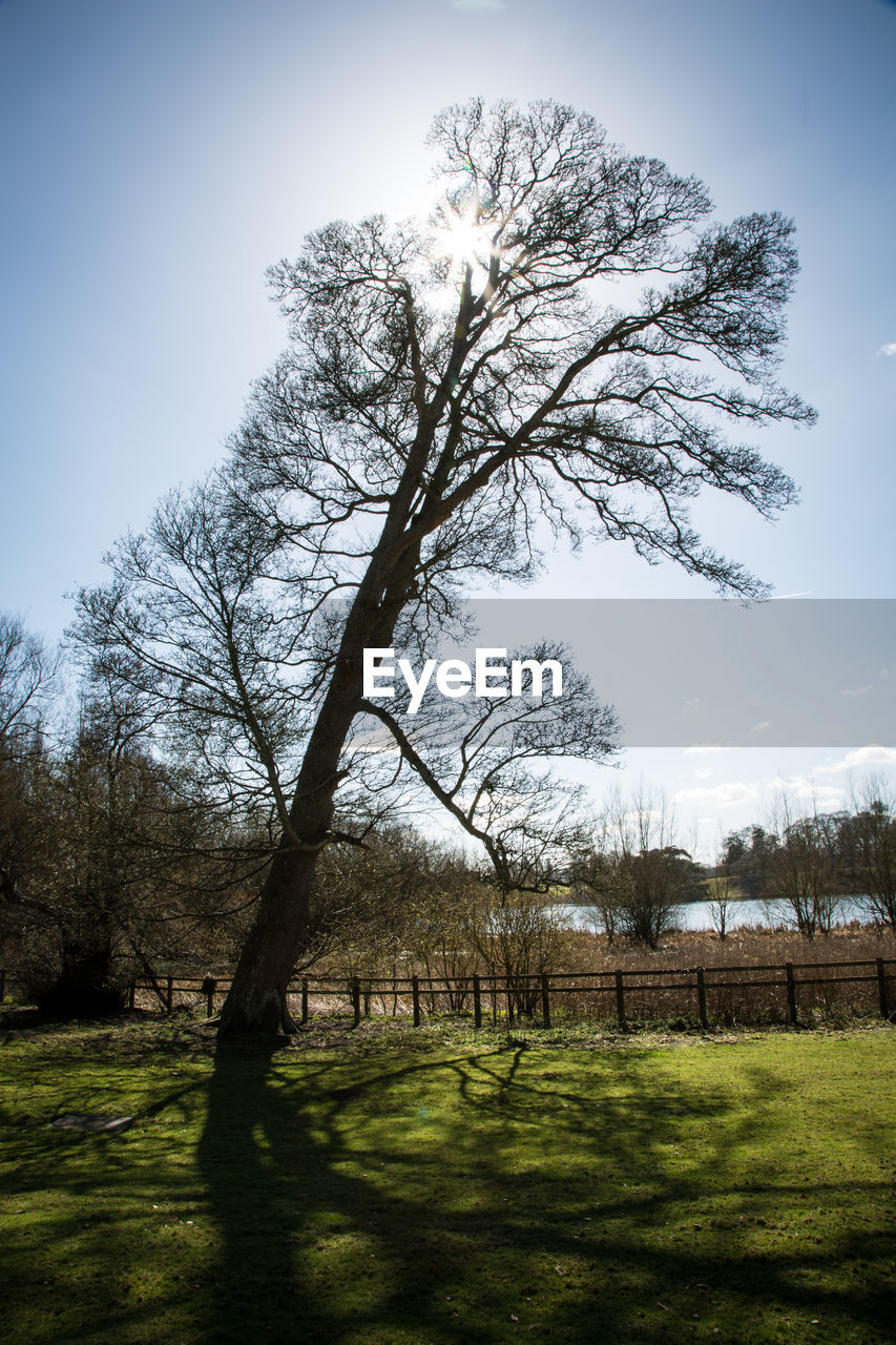 Scenic view of grassy field against sky