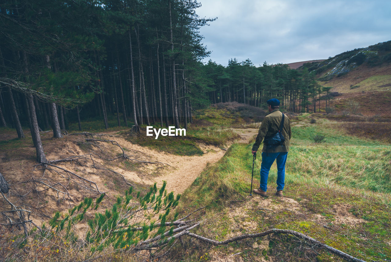 REAR VIEW OF MAN WALKING ON TRAIL IN FOREST