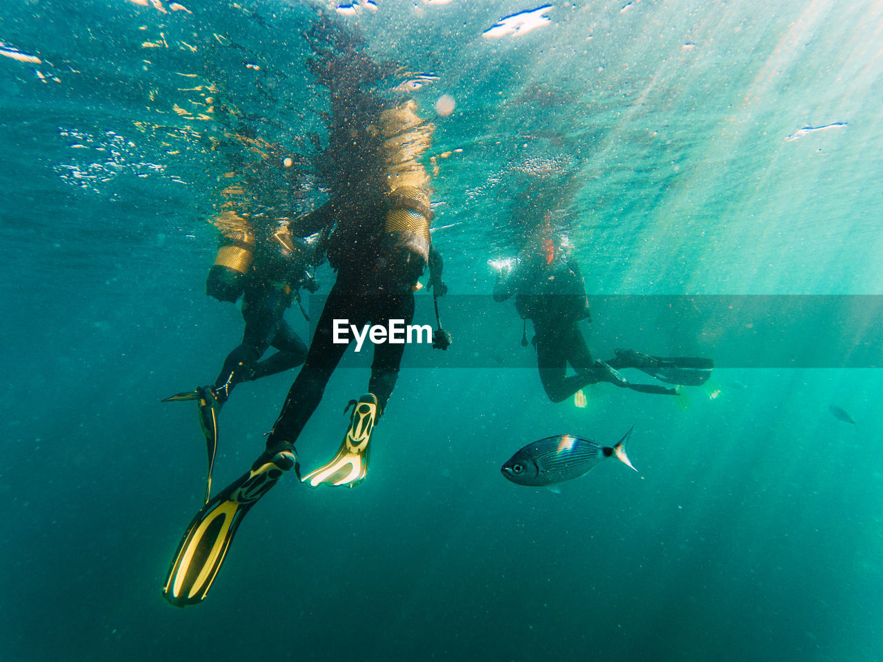 Cropped unrecognizable divers scuba diving in deep ocean