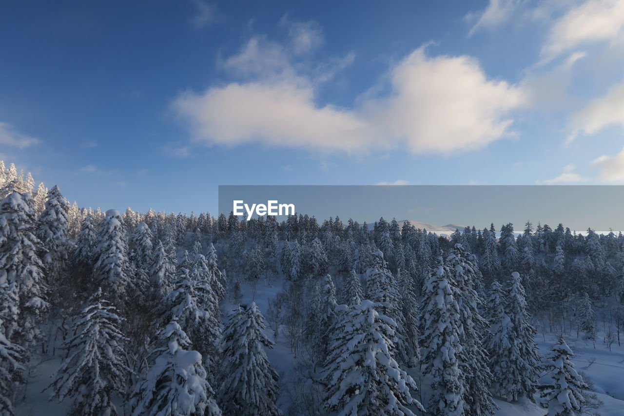 Scenic view of snow covered land against sky