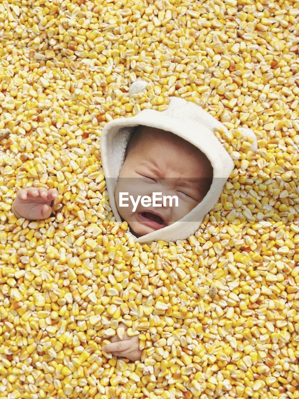 High angle view of crying girl lying in corn