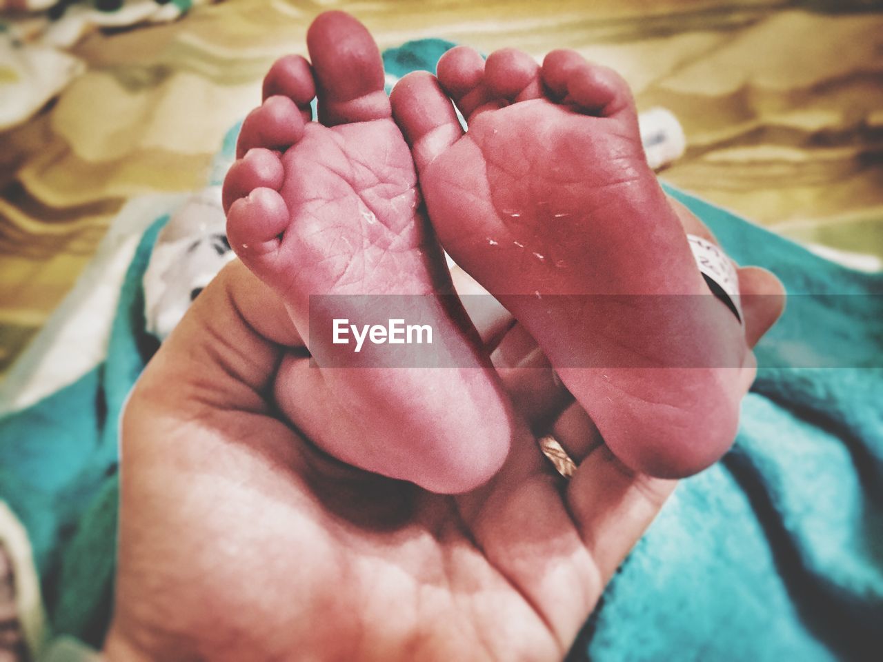 Cropped image of hand holding newborn baby feet