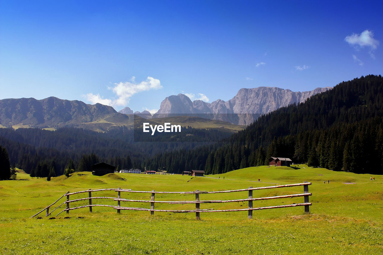 Scenic view of alpine pasture and woods against mountains and sky. 