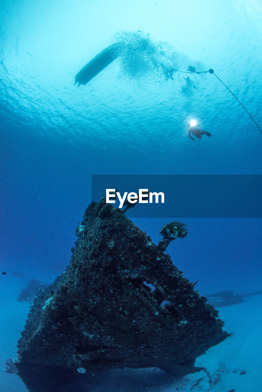 Low angle view of person diving in sea