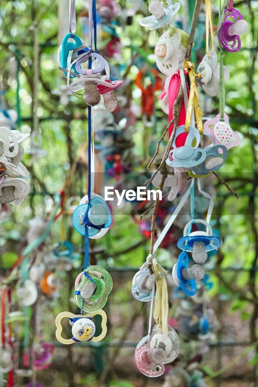 Close-up of toy hanging on tree