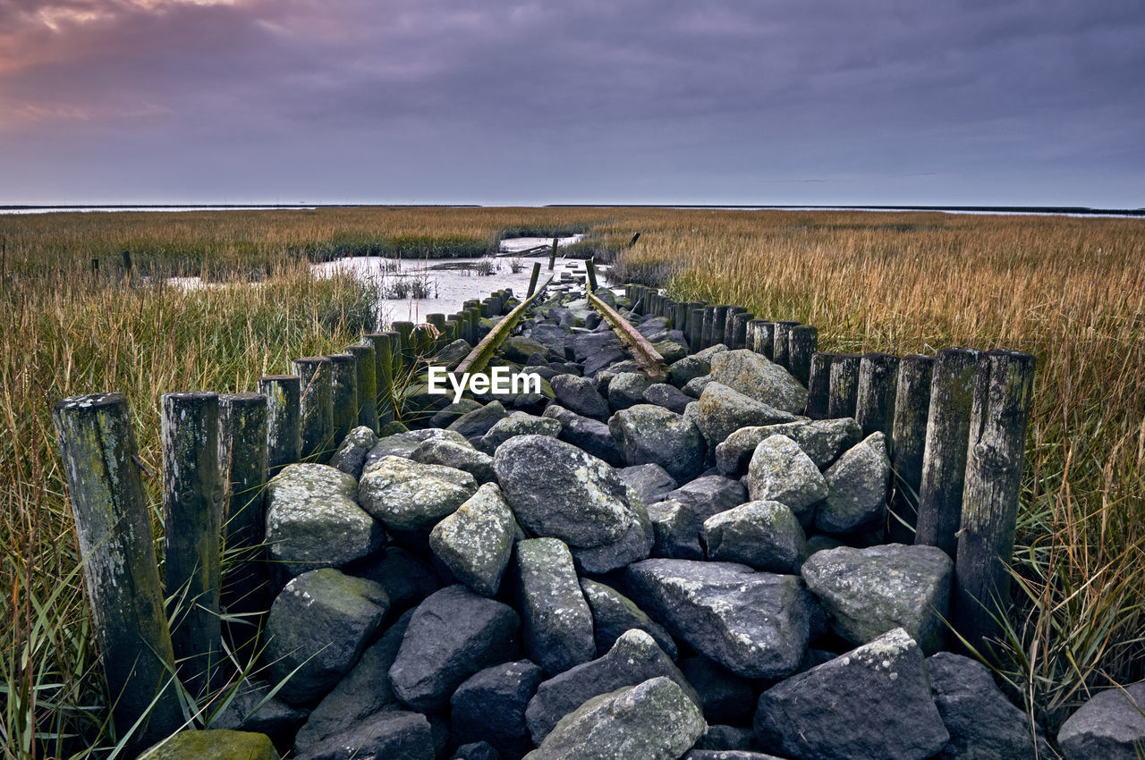 SCENIC VIEW OF ROCKS ON FIELD