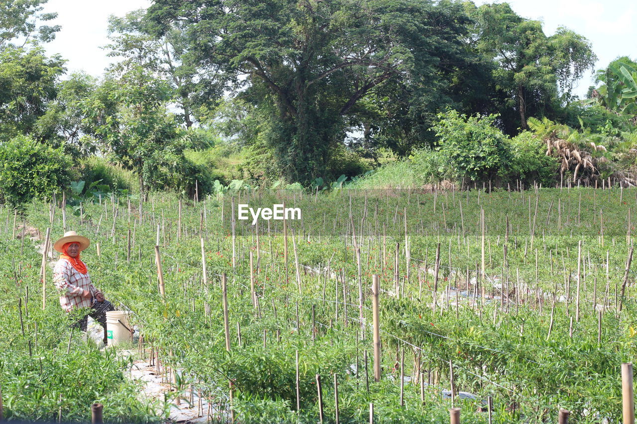 SCENIC VIEW OF FIELD