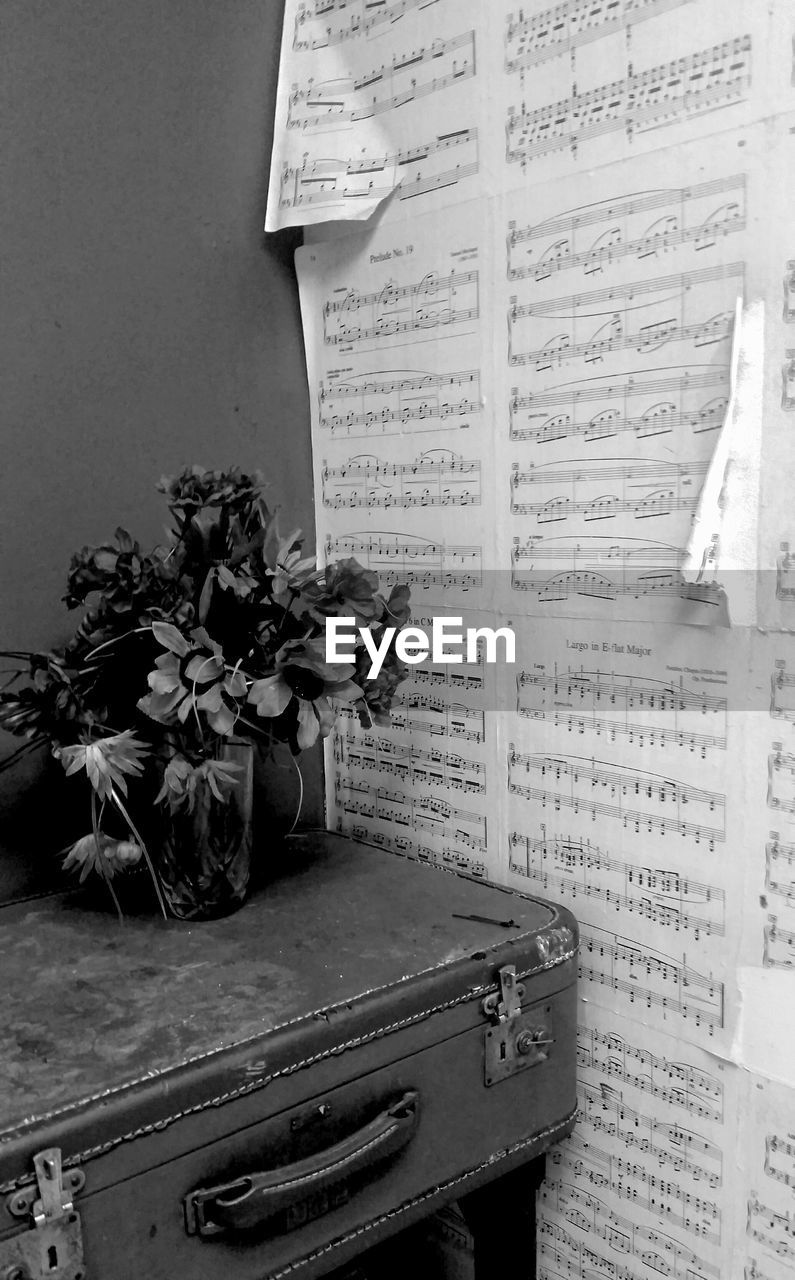 Potted plant on briefcase against wall