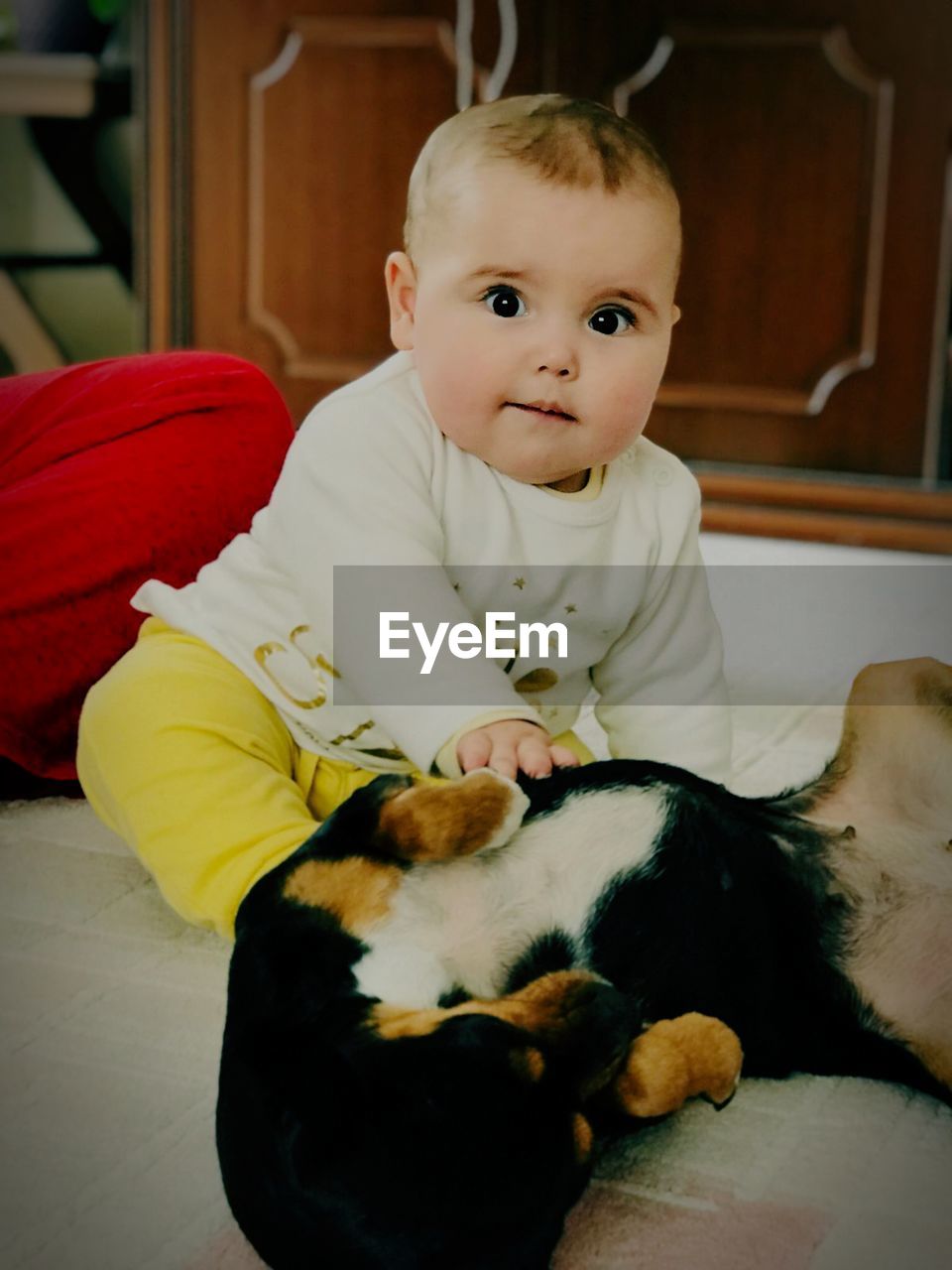 Portrait of cute baby girl at home