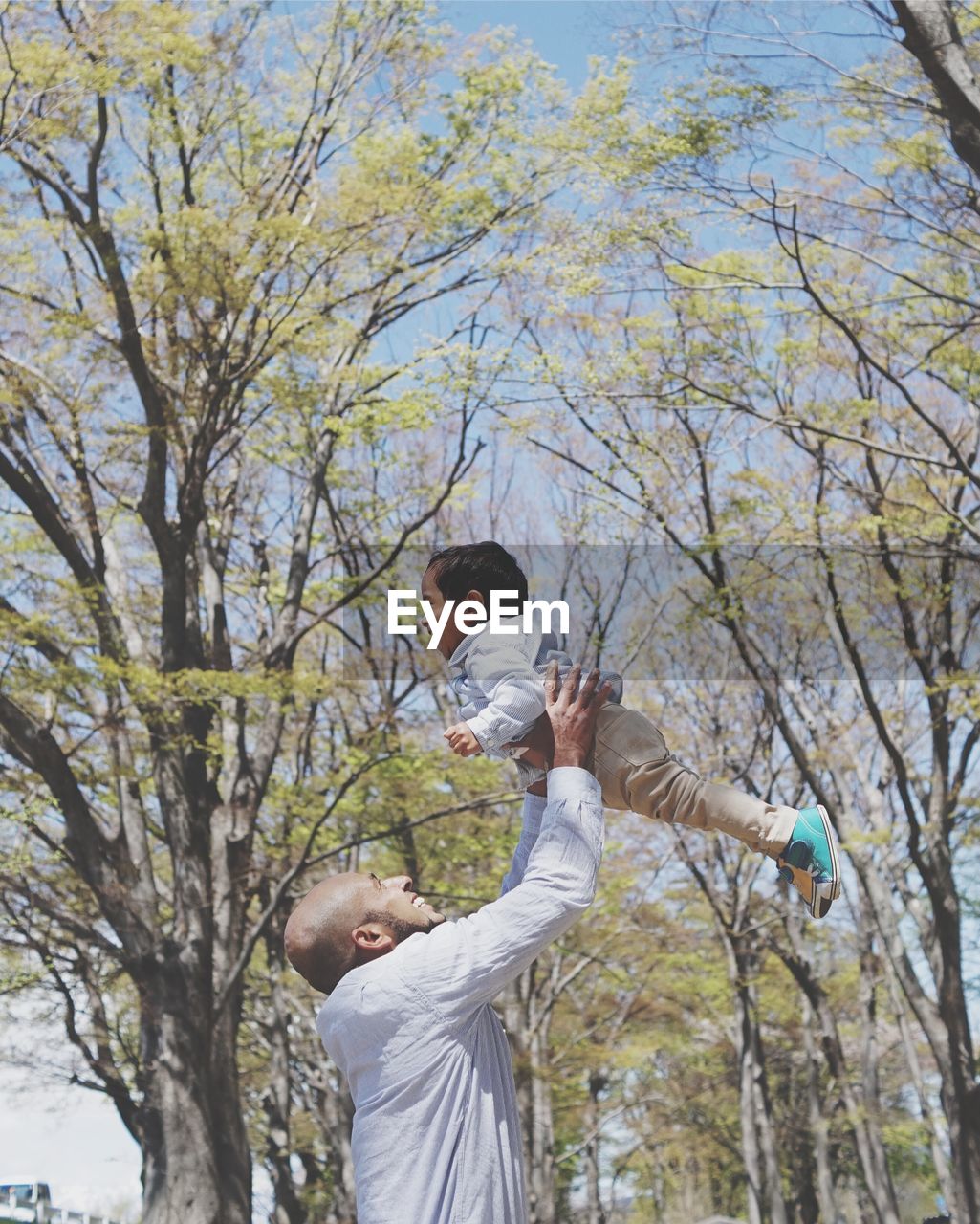 LOW ANGLE VIEW OF MEN ON TREE AGAINST SKY