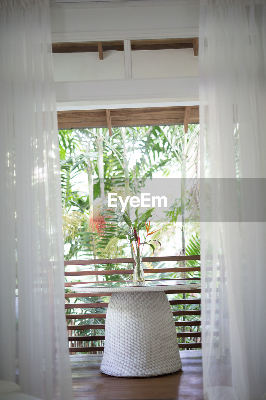 POTTED PLANTS ON THE WALL