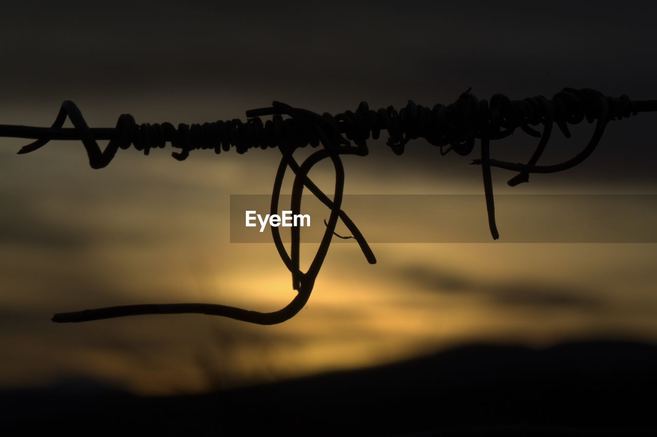 Close-up of metal during sunset