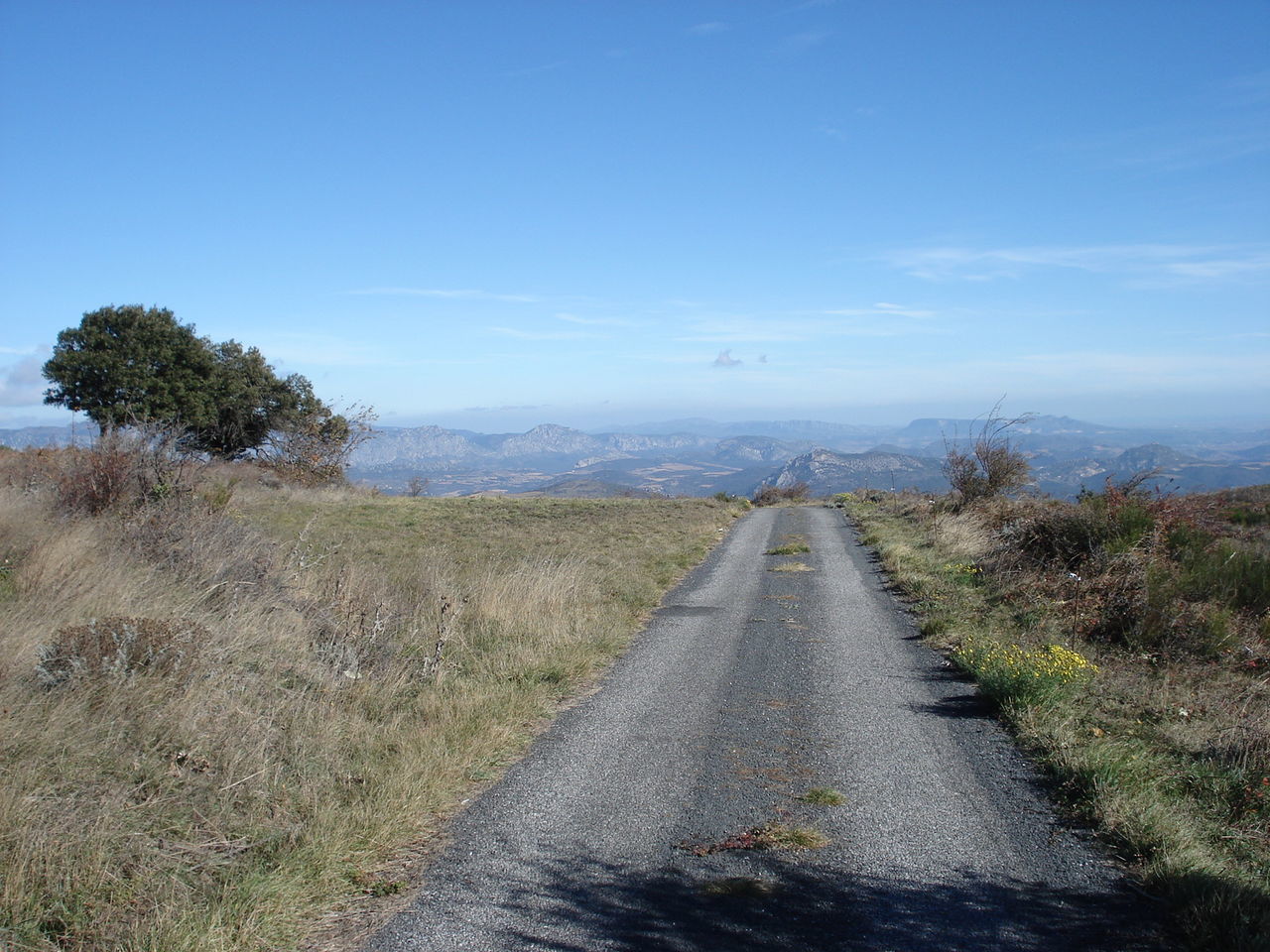 Empty country road along landscape