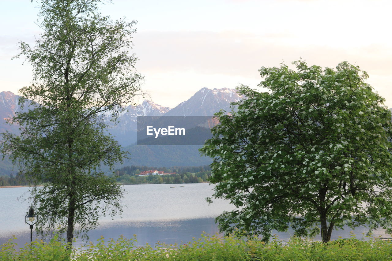 SCENIC VIEW OF LAKE AND MOUNTAINS