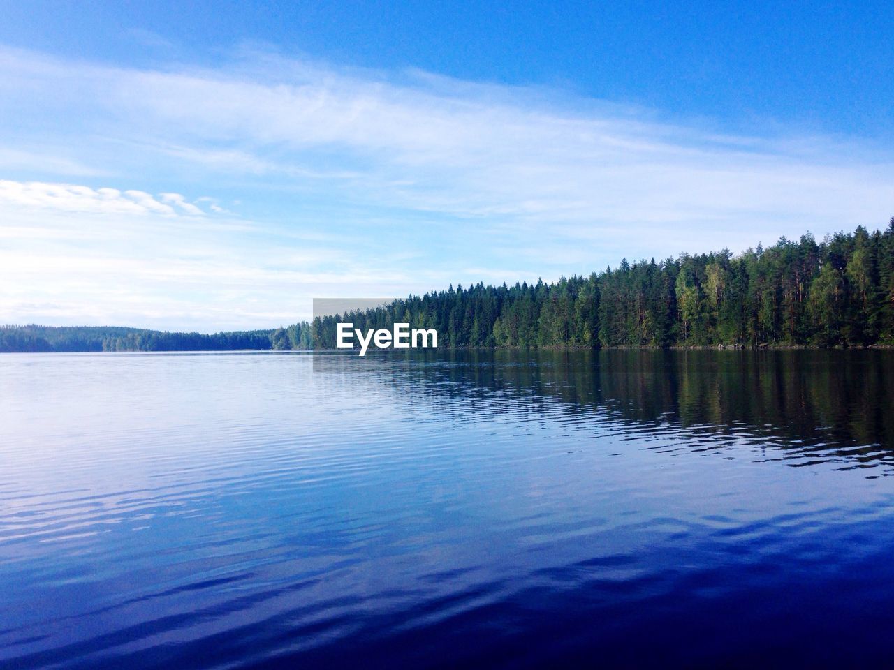 SCENIC VIEW OF LAKE IN FOREST AGAINST SKY