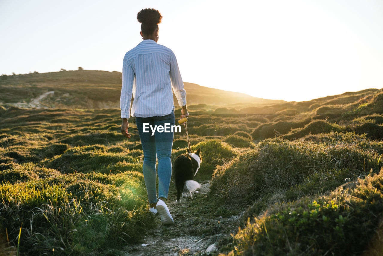 Full body back view of ethnic woman with border collie dog walking together on trail among grassy hills in sunny spring evening