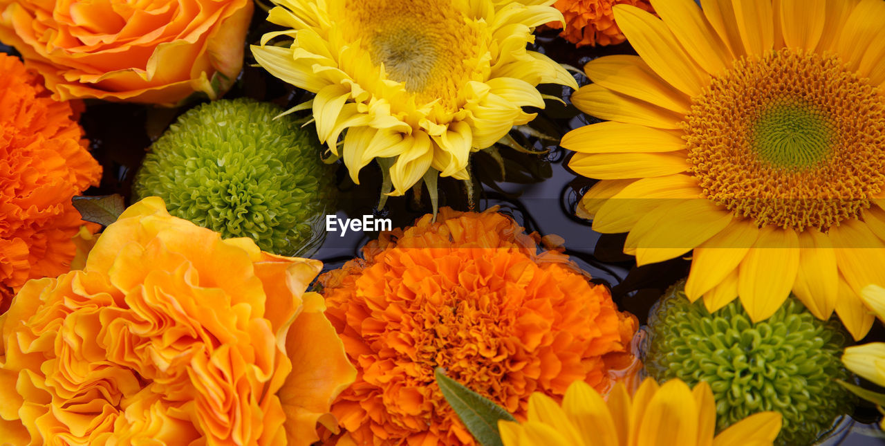 Flower arrangement of sunflowers and green mums.  close-up of yellow flowering plant
