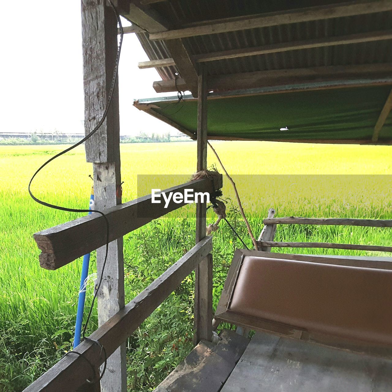 EMPTY SEATS ON GRASSY LANDSCAPE