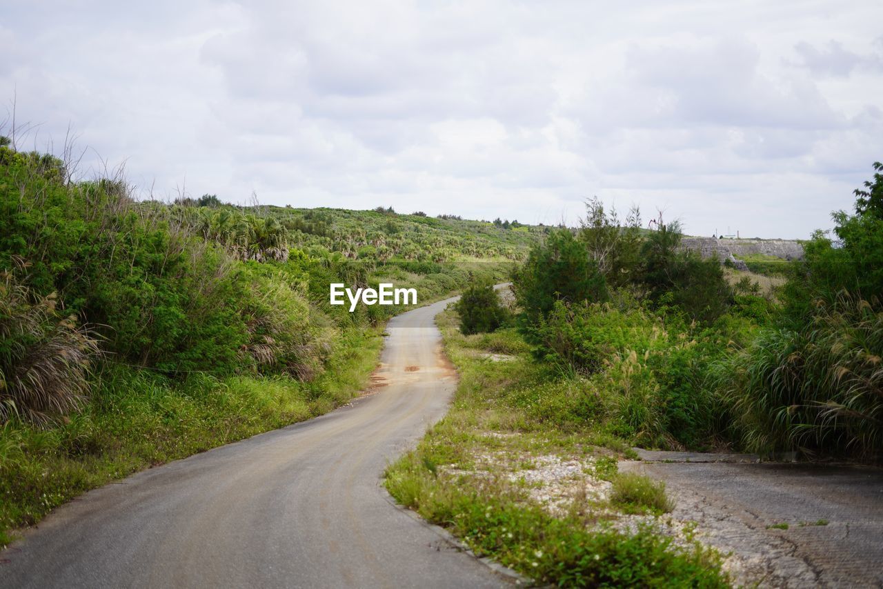 road, plant, cloud, sky, transportation, nature, rural area, hill, tree, infrastructure, landscape, the way forward, environment, dirt road, no people, land, beauty in nature, scenics - nature, grass, waterway, day, non-urban scene, footpath, tranquility, outdoors, travel, green, river, diminishing perspective, highway, trail, country road, tranquil scene, water, coast, growth, dirt, vanishing point, travel destinations, empty road