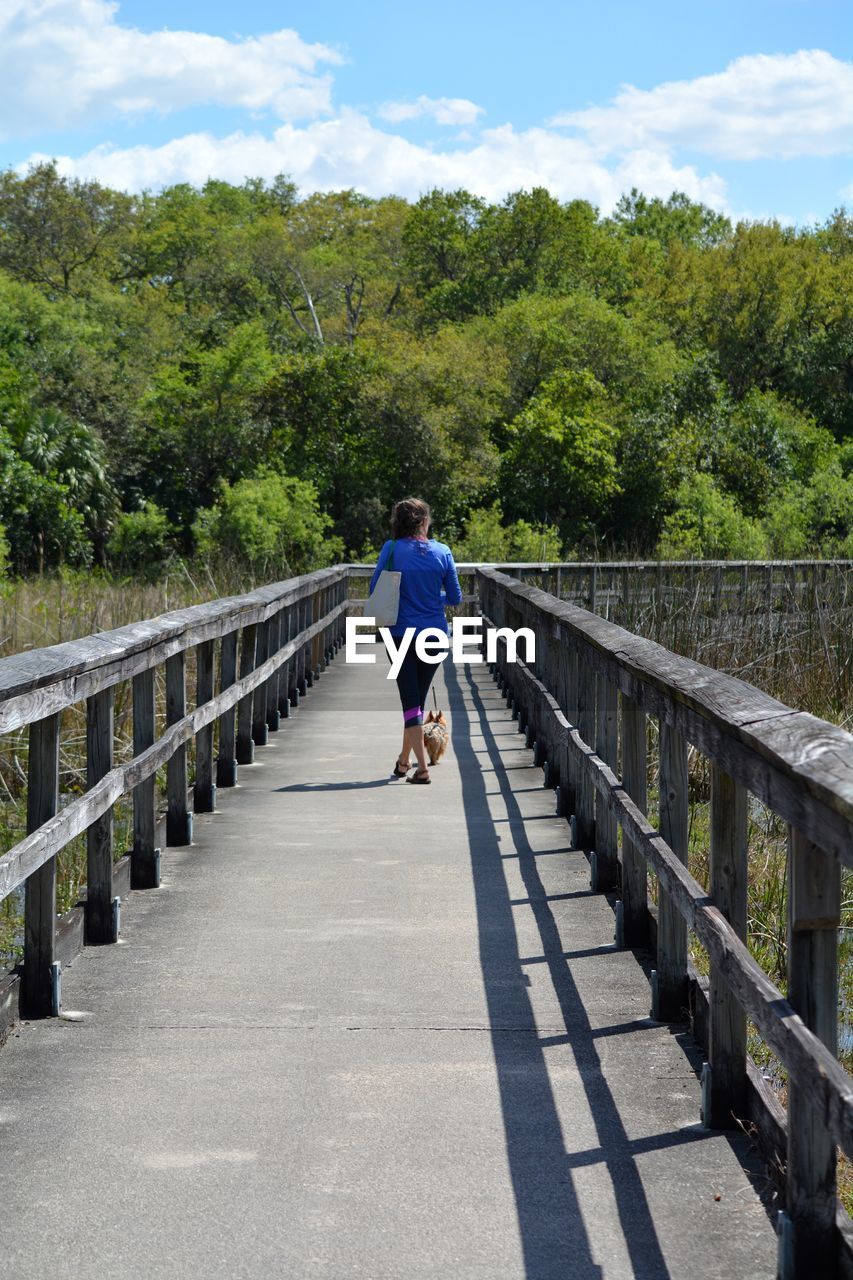 Rear view of woman walking dog on footbridge against wooded area