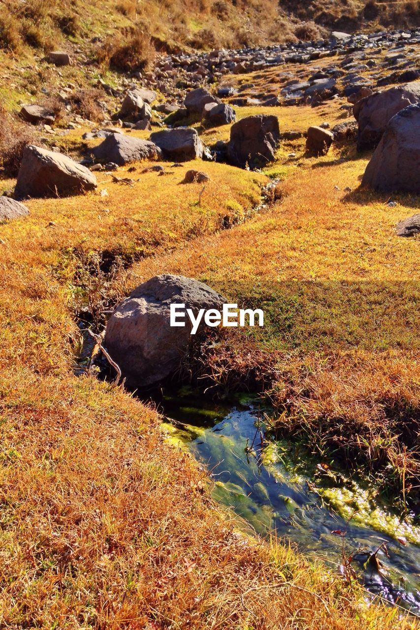 Close-up of stream along landscape