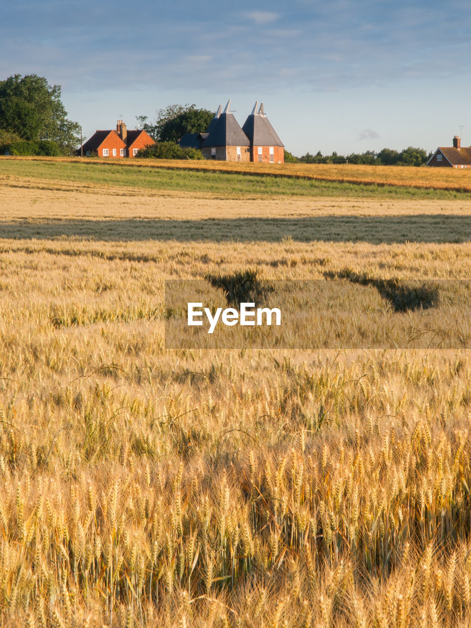 SCENIC VIEW OF FARM AGAINST SKY