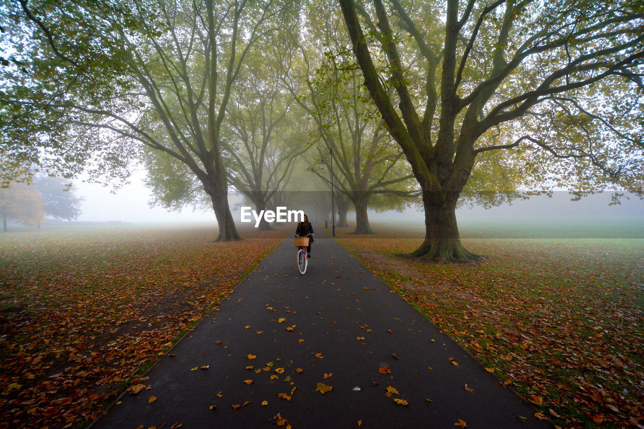 Woman riding bicycle on road against trees during autumn