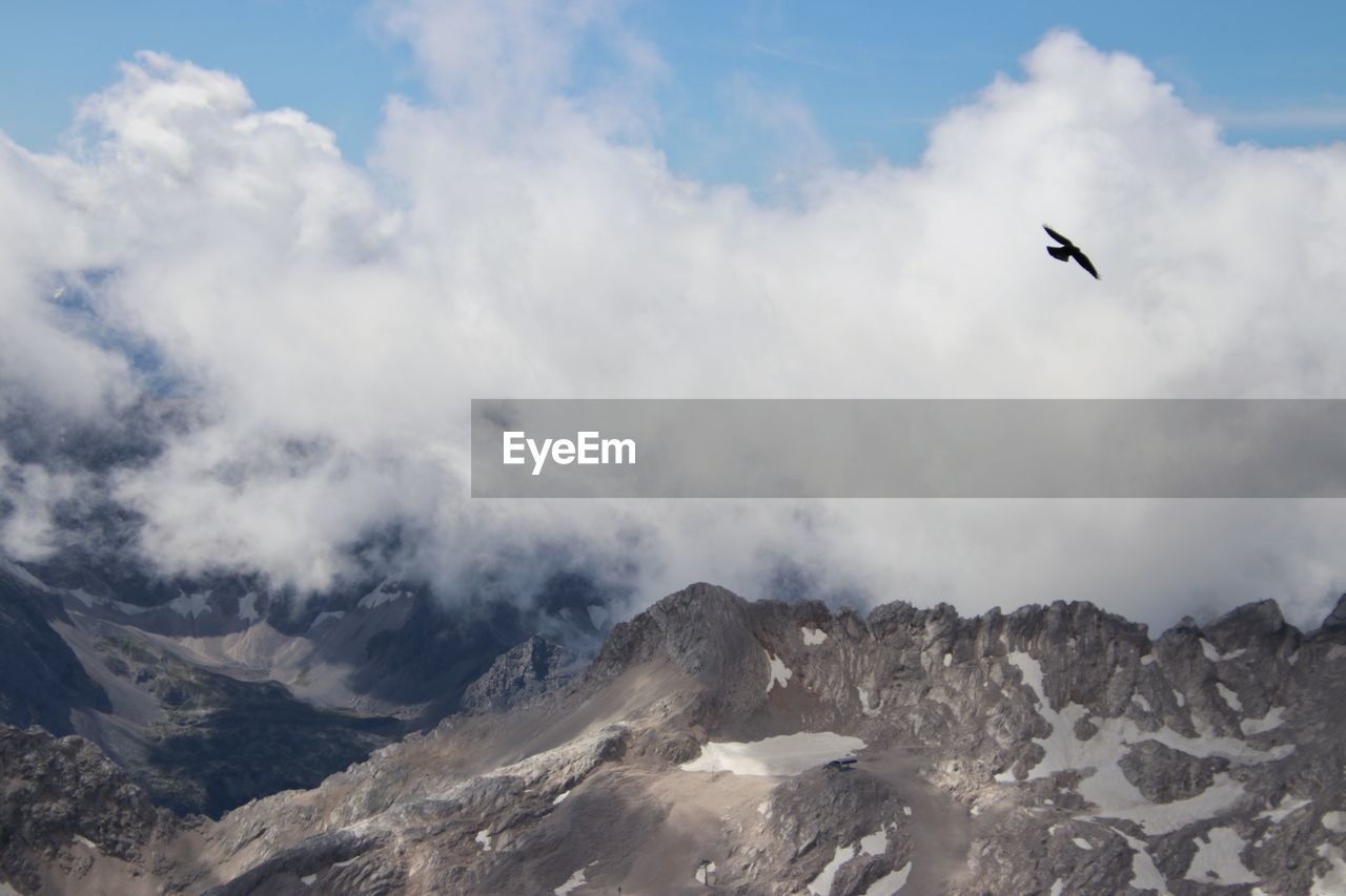 Low angle view of bird flying in sky over mountain 