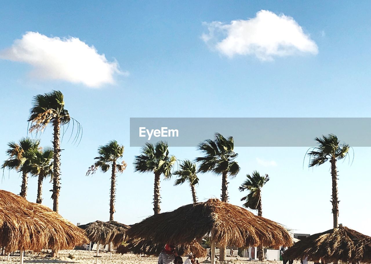 Palm trees and thatched roof parasols at beach