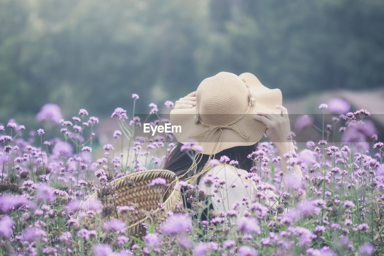 CLOSE-UP OF FLOWERING PLANTS ON FIELD AGAINST SKY