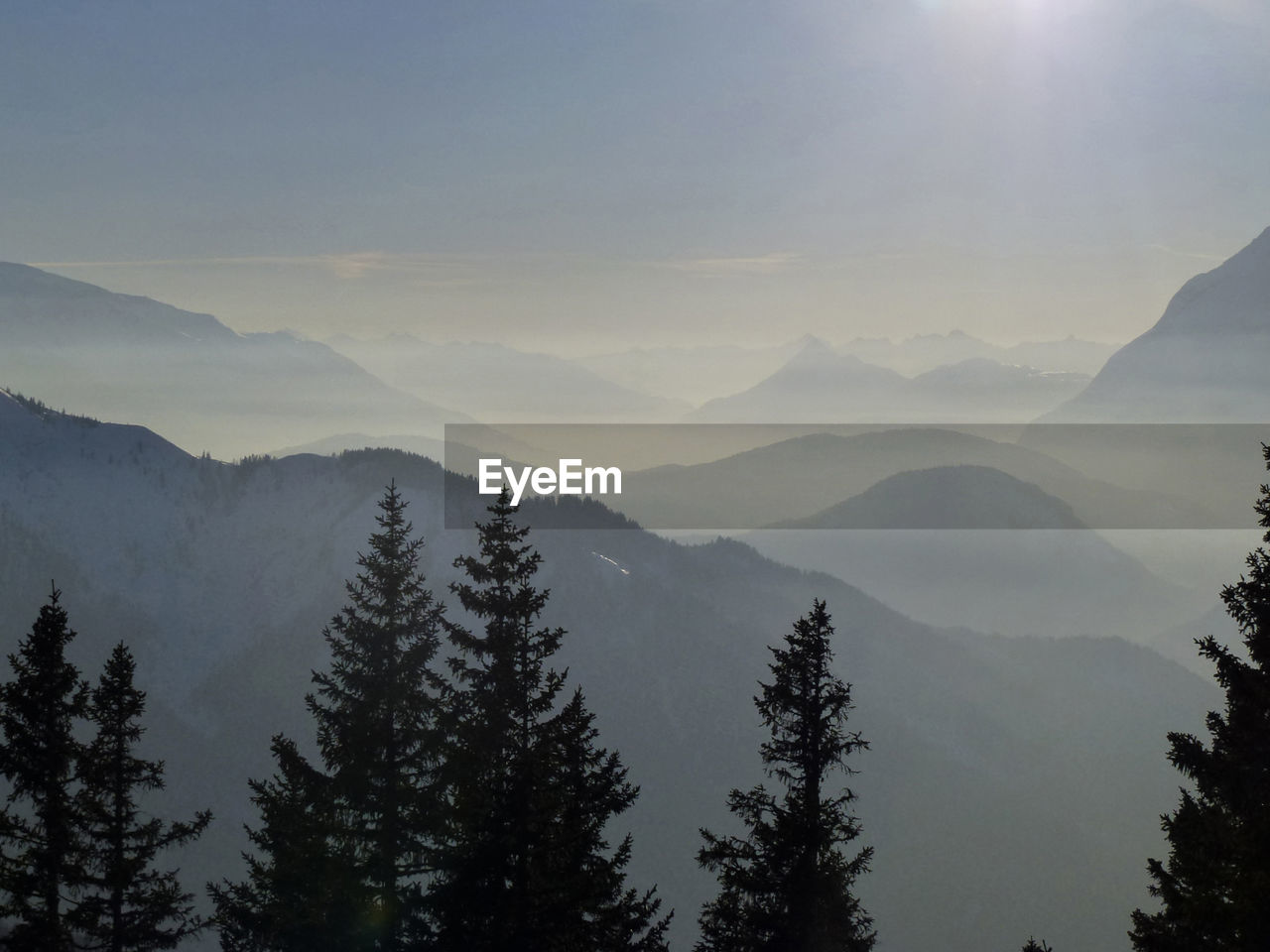 mountain, tree, scenics - nature, sky, beauty in nature, environment, plant, nature, forest, mountain range, morning, landscape, coniferous tree, fog, pine tree, land, tranquility, pinaceae, wilderness, tranquil scene, cloud, silhouette, mist, no people, sunbeam, sun, dawn, pine woodland, non-urban scene, sunlight, ridge, outdoors, sunrise, travel, travel destinations, summit, snow, mountain peak, idyllic, cold temperature, winter, twilight, woodland