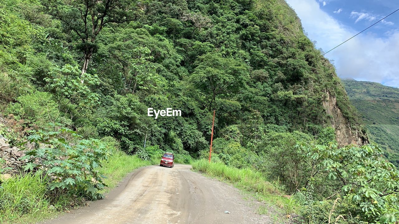 ROAD AMIDST TREES AGAINST MOUNTAINS