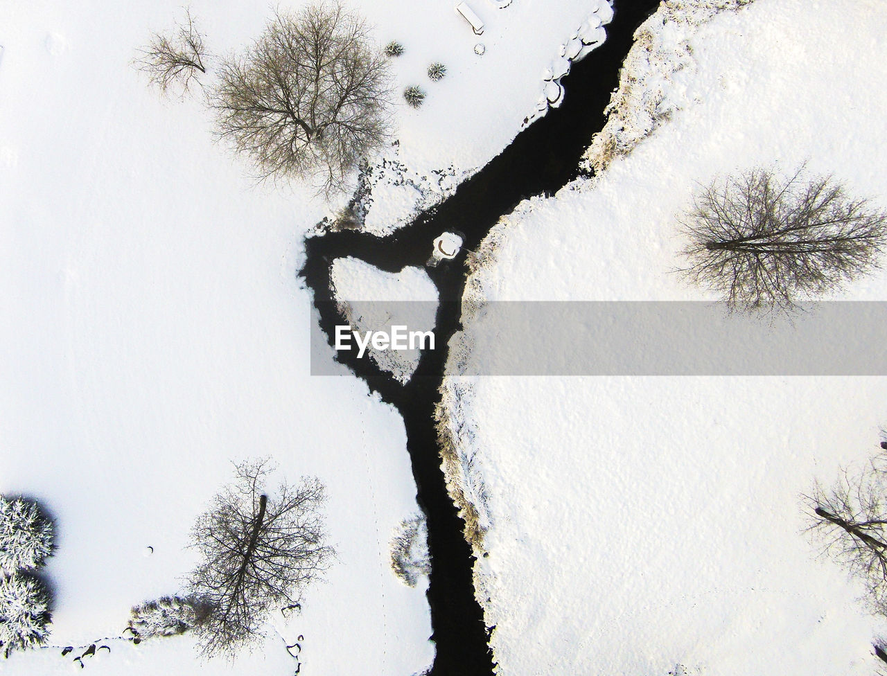 SNOW COVERED PLANTS ON LAND AGAINST SKY