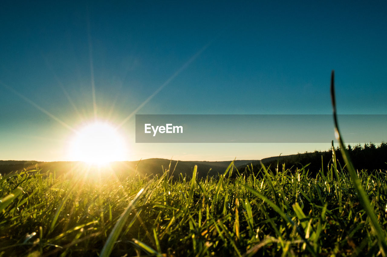 SCENIC VIEW OF LANDSCAPE AGAINST CLEAR SKY