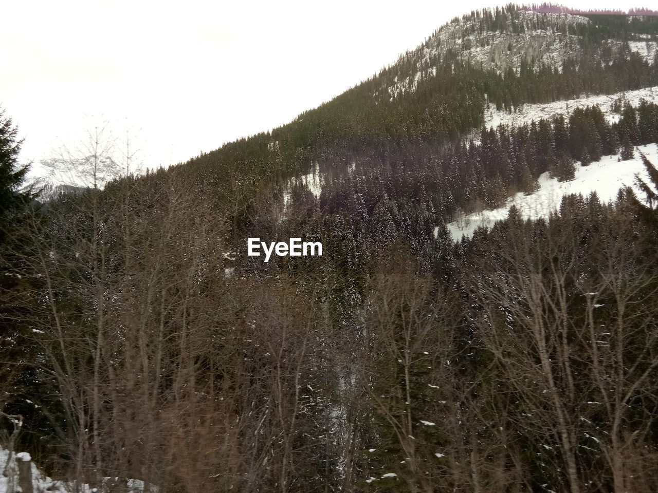 VIEW OF SNOW COVERED LAND