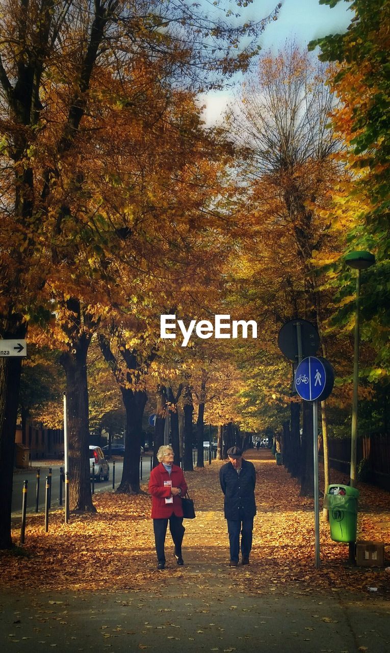 TREES IN PARK